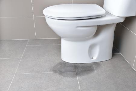 Toilet Installation & Repair Thumbnail