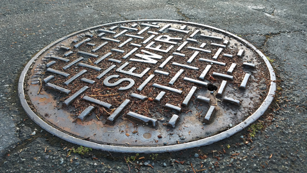 Discover the most prevalent sewer pipe problems in Waynesburg